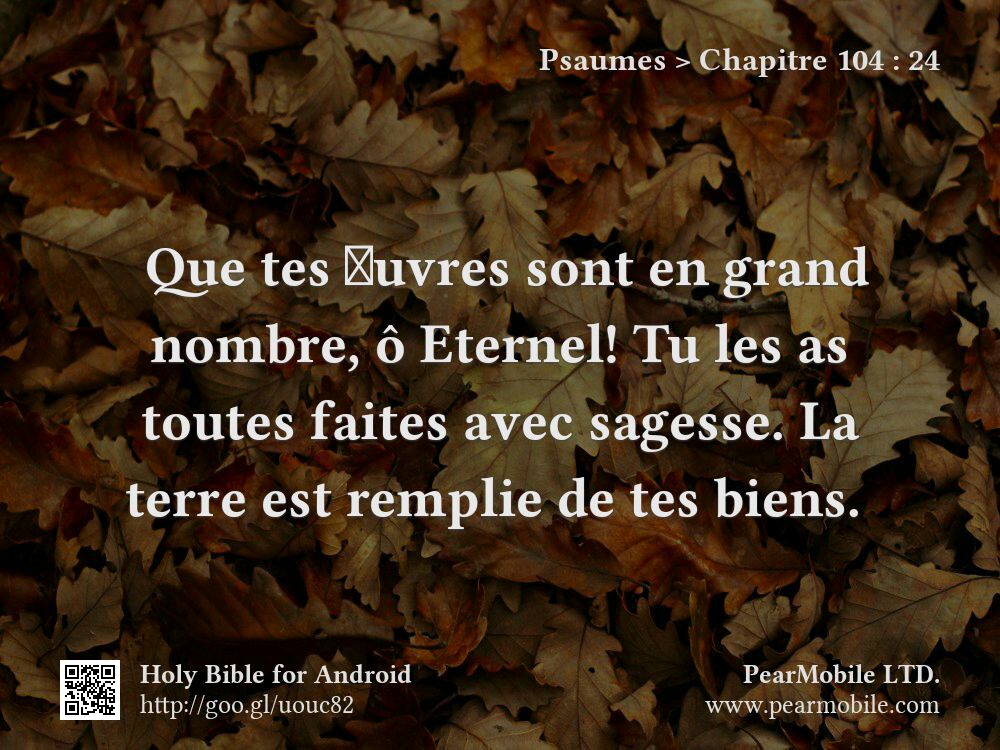 Psaumes, Chapitre 104:24